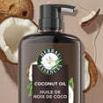thumbnail image 3 of Herbal Essences Coconut Oil Hydrating Conditioner with Certified Camellia Oil and Aloe Vera, For All Hair Types, Especially Dry Hair, 3 of 9