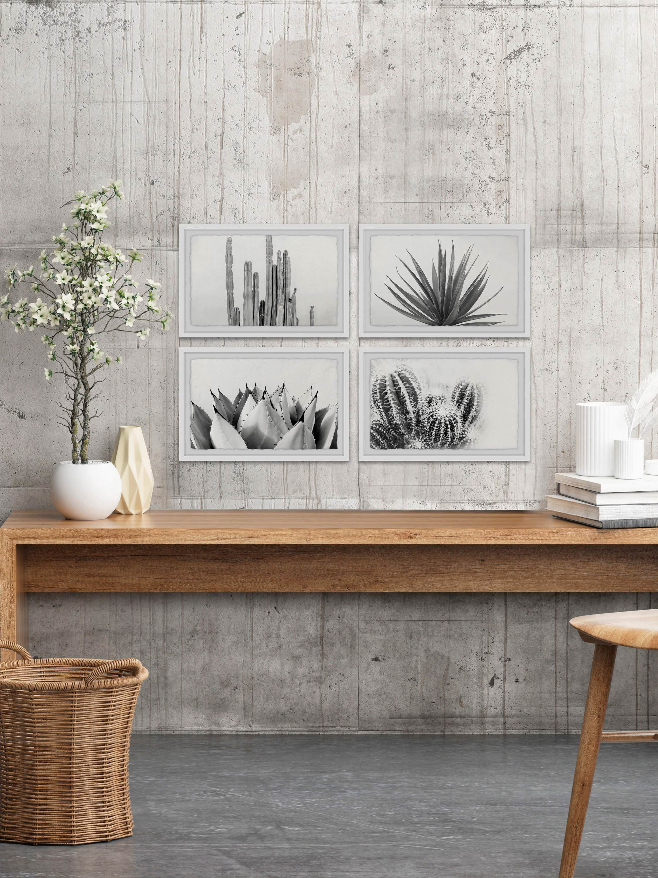 Marmont Hill Cactus Kinds Quadriptych by Morgan Hartley