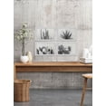 thumbnail image 6 of Marmont Hill Cactus Kinds Quadriptych by Morgan Hartley, 6 of 6