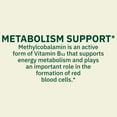 thumbnail image 6 of Spring Valley Vitamin B12 Supplement Vegetarian Gummies for Metabolism Support, Raspberry Flavor, 500 mcg, 200 Count, 6 of 12