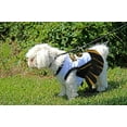 thumbnail image 6 of Pets First College Missouri Tigers Cheerleader, 3 Sizes Pet Dress Available. Licensed Dog Outfit, 6 of 6