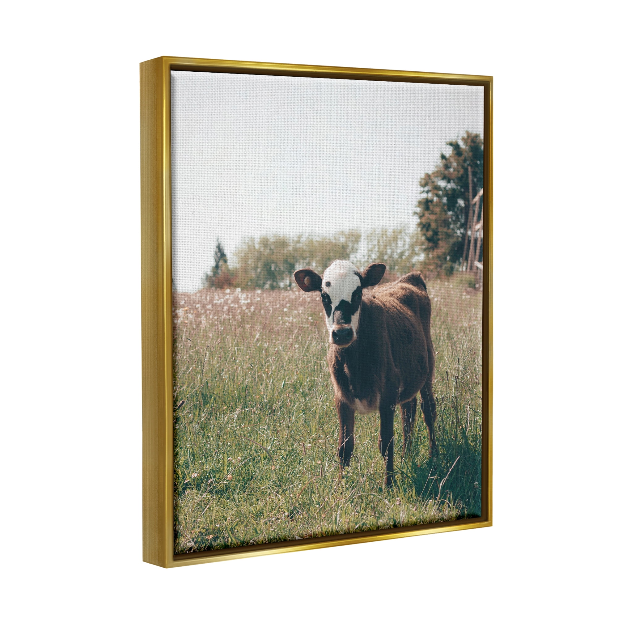 Stupell Industries Cow Calf Rural Farm Meadow Animals & Insects Photography Gold Floater Framed Art Print Wall Art