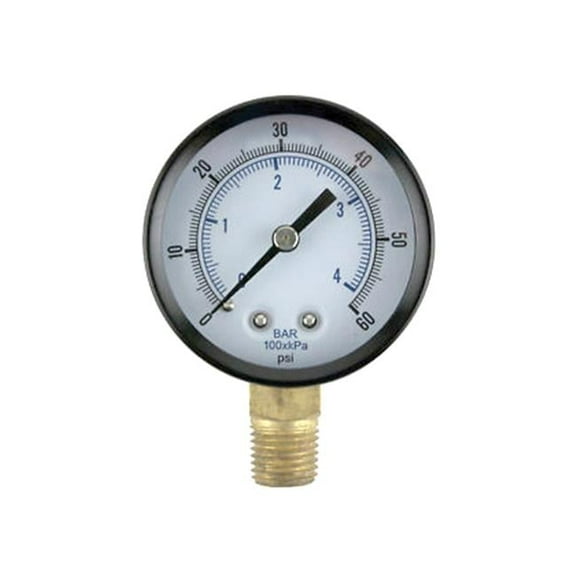 American Granby 0.25 in. MPT x 2 in. Face Lower 0-30 lbs Plastic Lead Pressure Gauge