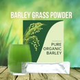 thumbnail image 2 of MesaSe Barley Grass Powder 100% Pure & Organic  Pure Organic Barley  Barley Grass Powder Organic  Organic Barley Grass Powder  Greens Powder  3g per Serving (5Box/100pcs), 2 of 8