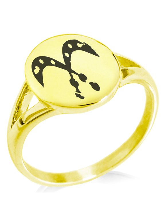 Stainless Steel Ancient Tribal Courage Rune Minimalist Oval Top Polished Statement Signet Ring