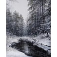 thumbnail image 3 of Cernov, Ivan 12x14 Black Modern Framed Museum Art Print Titled - February II, 3 of 5