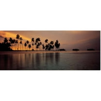 Trademark Fine Art "Afterglow" Canvas Art by David Evans