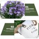thumbnail image 5 of Nestingho 1Ud Imitation Potted Plant Lifelike En Violeta Para Ambientar Espacios Interiores, 5 of 6