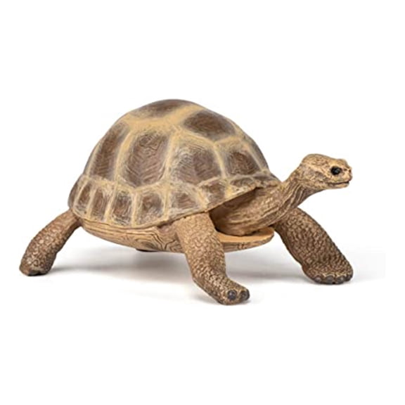 Papo Hermann's Tortoise Hand Painted Figurine - Heirloom Quality Collectible (50264) (Hermann's Tortoise)