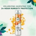 thumbnail image 6 of Herbal Essences Body Envy Volumizing Hairspray with Citrus Essences, 17 oz, 6 of 7