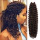thumbnail image 1 of Au-Then-Tic Trenzas de ganchillo con ondas de agua, 22 pulgadas, 6 paquetes de extensiones sintéticas para giros de pasión, mariposas y estilos bohemios (Tp4/30 Piano Mix Medium Brown Light Auburn), 1 of 1