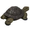 thumbnail image 5 of Northlight Turtle Outdoor Garden Statue - 22.75" - Brown and Green, 5 of 5