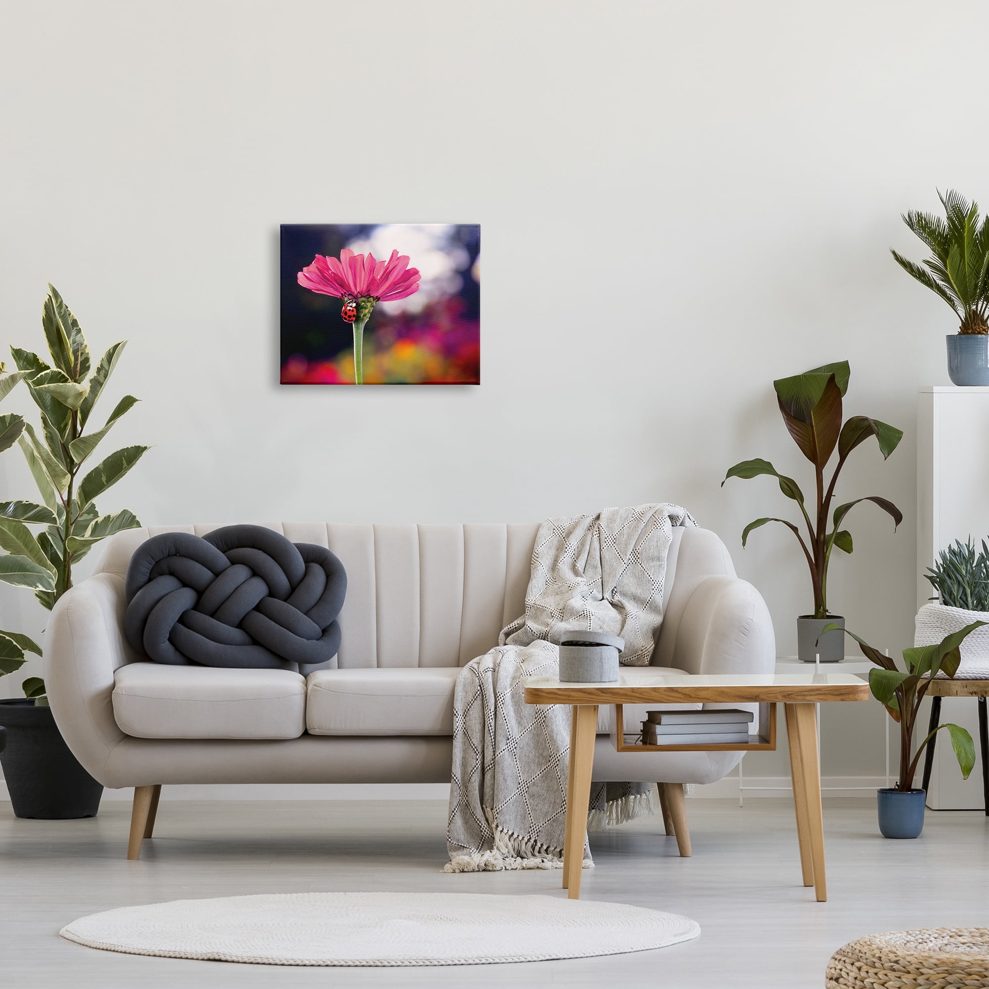 Stupell Industries Ladybug with Pink Flower Animals & Insects Photography Gallery Wrapped Canvas Print Wall Art, 20 x 16
