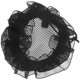 thumbnail image 1 of Accesorios para el cabello para actuaciones de ballet para adolescentes, 1 of 4