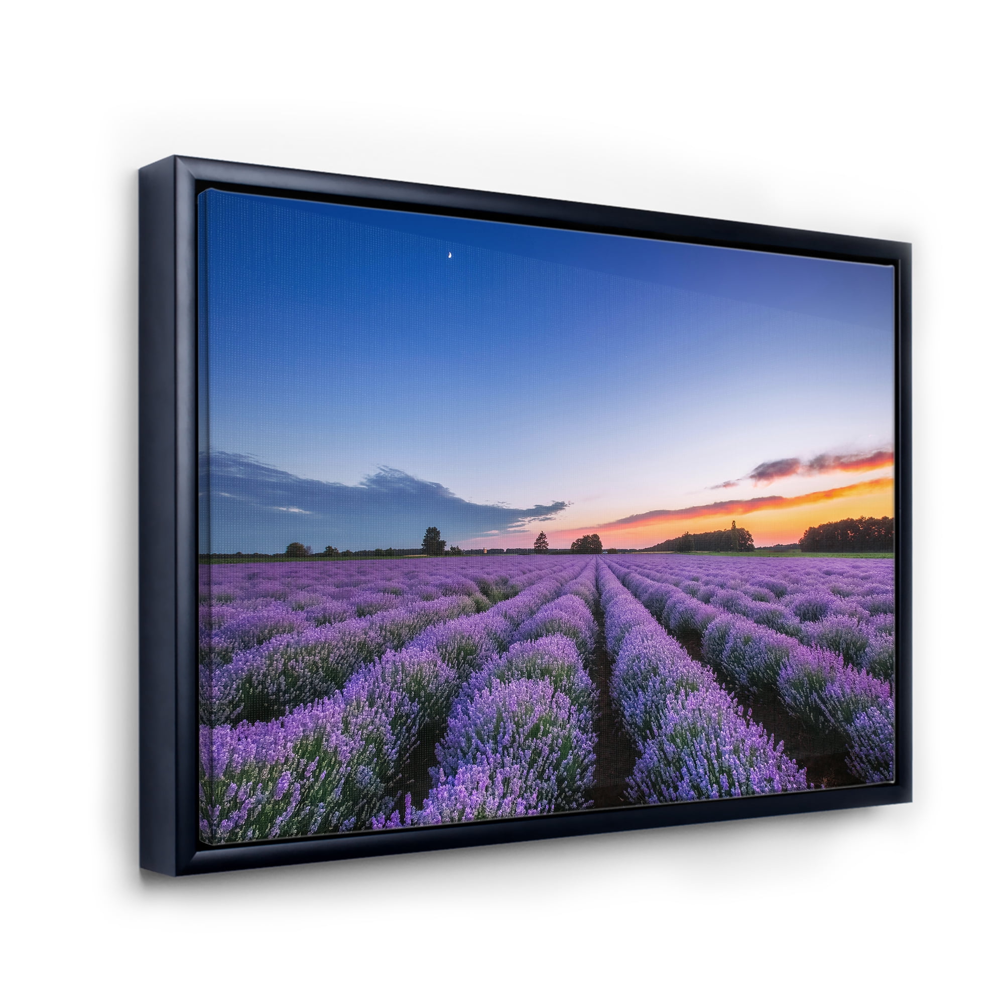Designart 'Dramatic Clouds and Sunrise Over Lavender Field I' Farmhouse Framed Canvas Wall Art Print