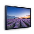 thumbnail image 3 of Designart 'Dramatic Clouds and Sunrise Over Lavender Field I' Farmhouse Framed Canvas Wall Art Print, 3 of 5