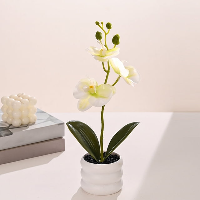Planta artificial de orquídea falsa Phalaenopsis realista con maceta lastrada - Flor de seda realista para decoración de boda en la oficina en casa