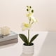 thumbnail image 1 of Artificial Potted Phalaenopsis Orchid with Bendable Stems for Home Office Desk Wedding Decor 1 Count, 1 of 9