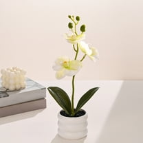 Kraoden Faux Phalaenopsis Orchid, Realistic Artificial Flower Arrangement, Potted Decor for Wedding Photography and Home Decoration, Maintenance-Free
