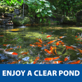 thumbnail image 7 of The Pond Guy RapidClear Water Clarifier, Eliminate Murky, Dirty Water Fast - 16 Ounces, 7 of 7