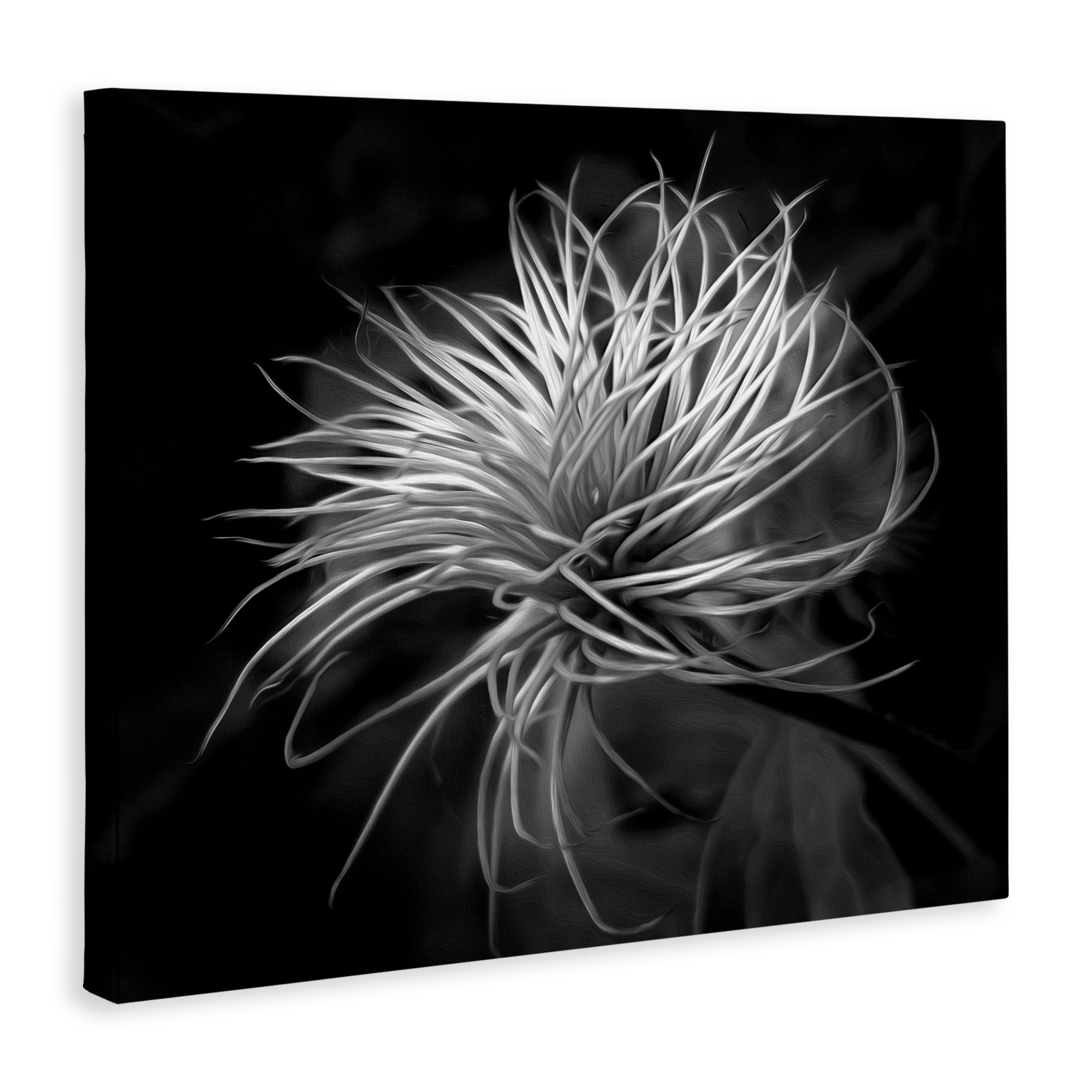 Twisting Botanical Leaves Contrast Canvas Wall Art, design by Phillip Flowers