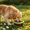 thumbnail image 2 of Dog Bowl Silicone Foldable Portable BPA-Free No Leak Travel Cup for Outdoor Camping Small Medium Pets by MPOISVA, 2 of 6