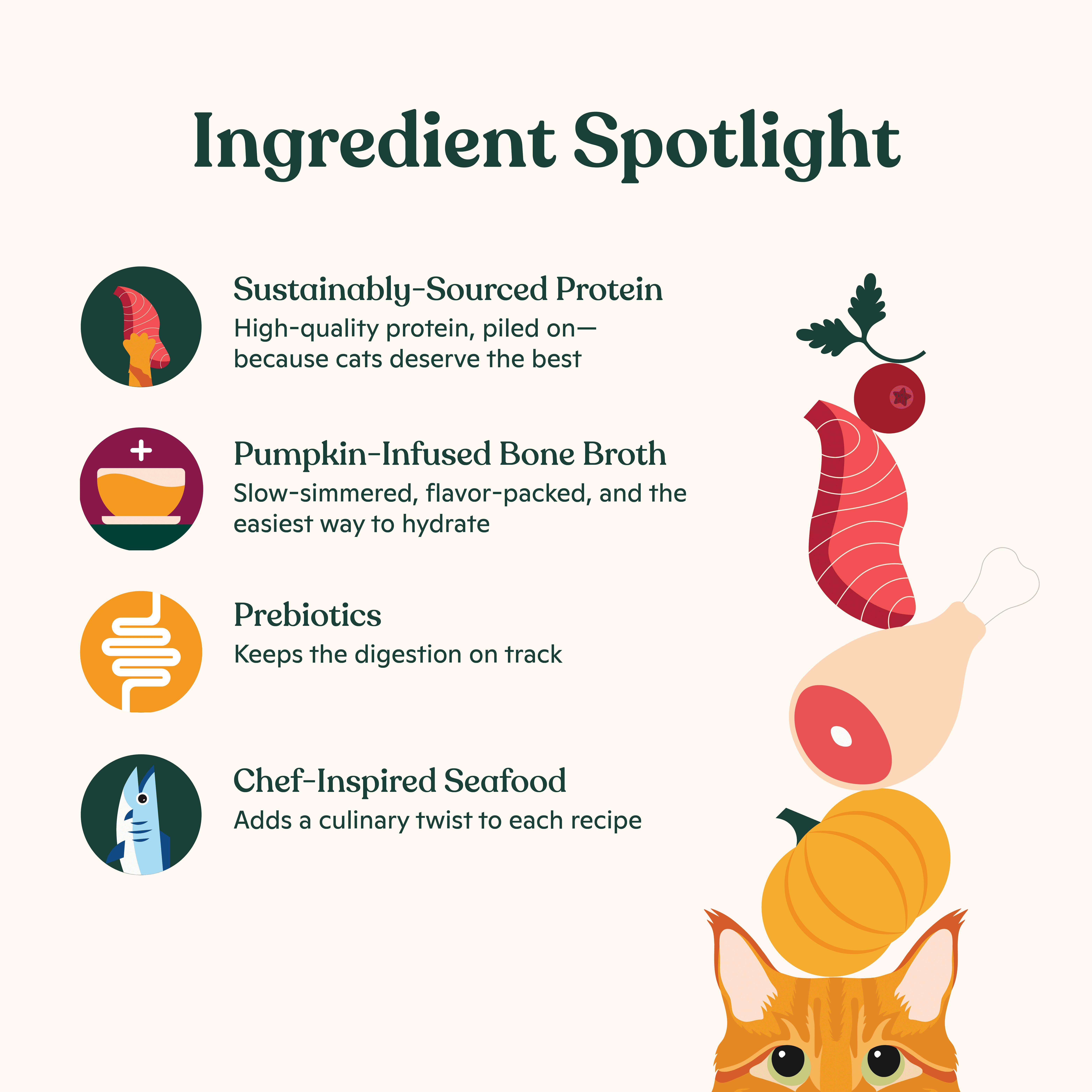Made by Nacho Flaked Filets Recipe in Bone Broth, Grain-Free Chef's Selects Wet Food for Cats Balanced Diet in Naturally Hydrating Bone Broth, Chicken and Tuna, 3oz