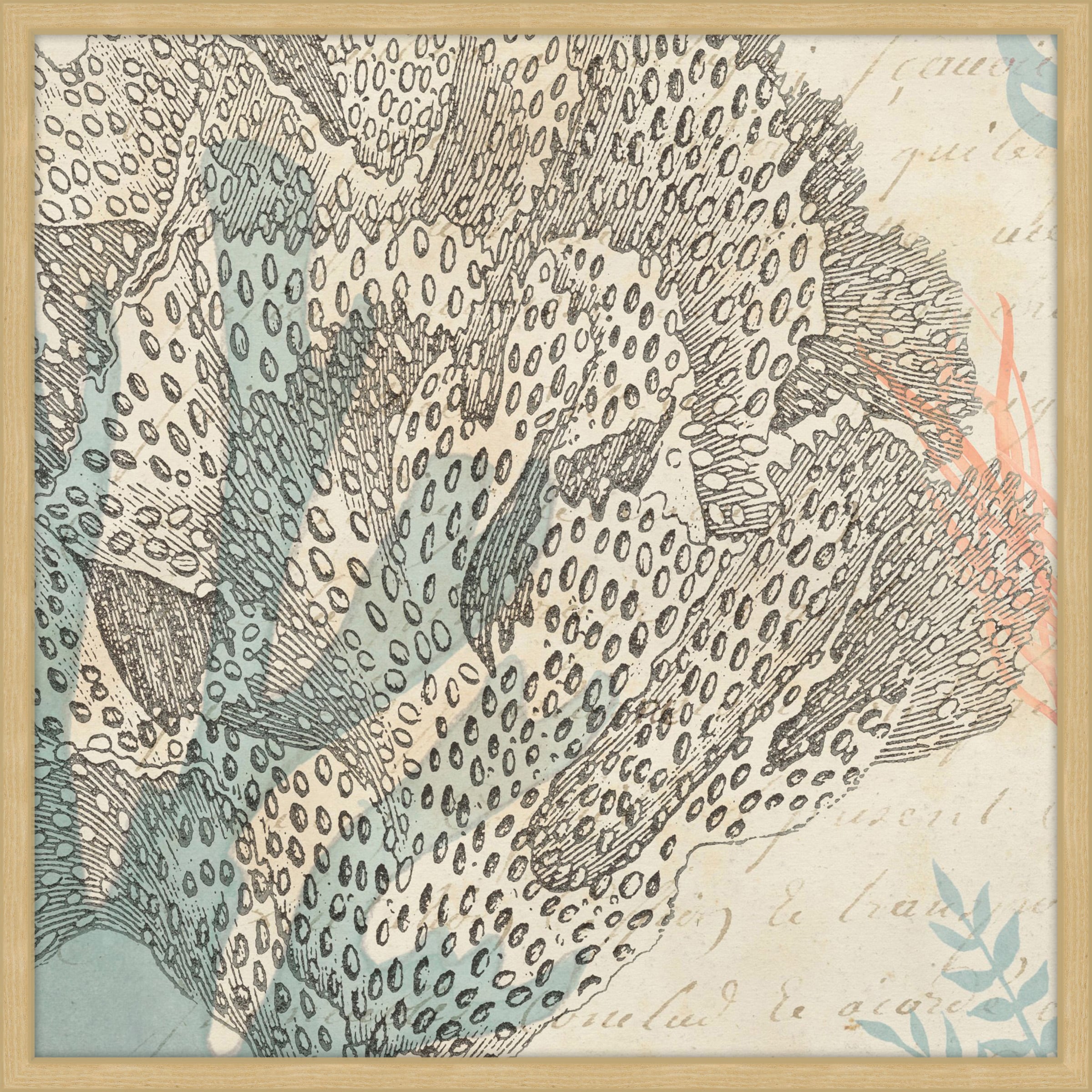 Marmont Hill "Sea Ephemera III" Framed Painting Print