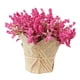 thumbnail image 3 of Lavanda artificial Gypsophila Cabezas de flores Decoración de bricolaje Rosa roja, 3 of 6