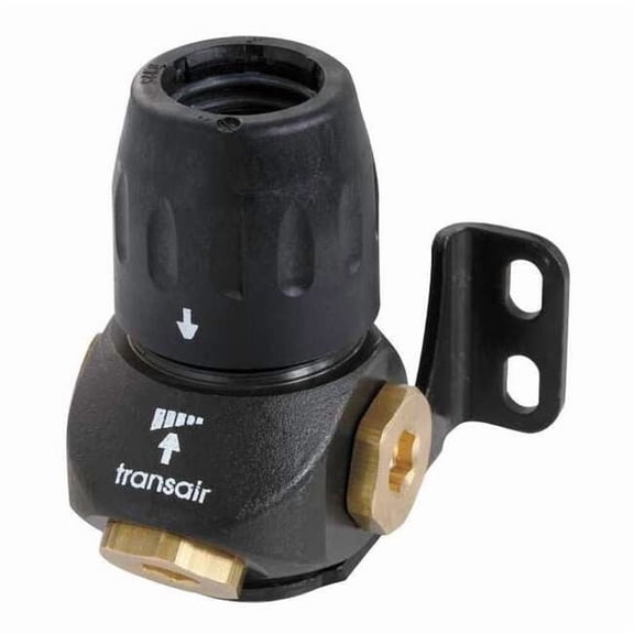 Transair 3 Port Wall Bracket, Brass, Black 6696 25 22GR