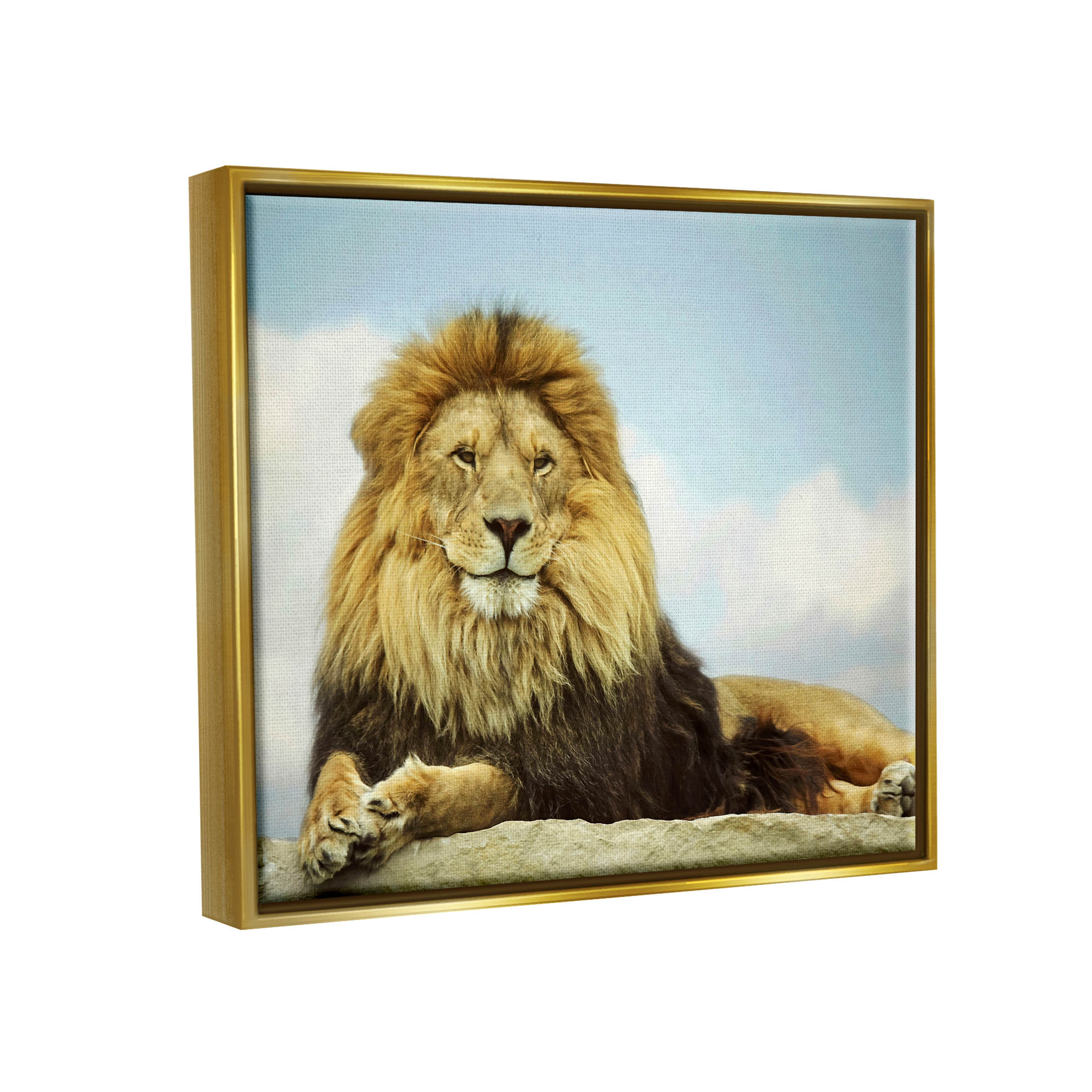 Stupell Industries Savanna Lion Photography Portrait Photograph Metallic Gold Floating Framed Canvas Print Wall Art, Design by Carrie Ann Grippo-Pike