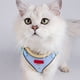 thumbnail image 1 of Pisexur Suministros para mascotas Correa para perros y gatos sin mangas estilo mascota reflectante y transpirable correa adecuada para gatos y perros al aire libre correaperros, gatos y animales, 1 of 6