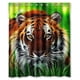thumbnail image 1 of Cortina de ducha Impermeable ABPHQTO Tigre 3D 150x180 cm, 1 of 2