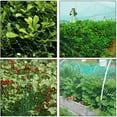 thumbnail image 6 of Green Bird Nets Protect Plants Fruits Vegetables Flowers Plants Trees Fences Ponds Durable Nets Prevent Birds Deer and Animals, 6 of 7