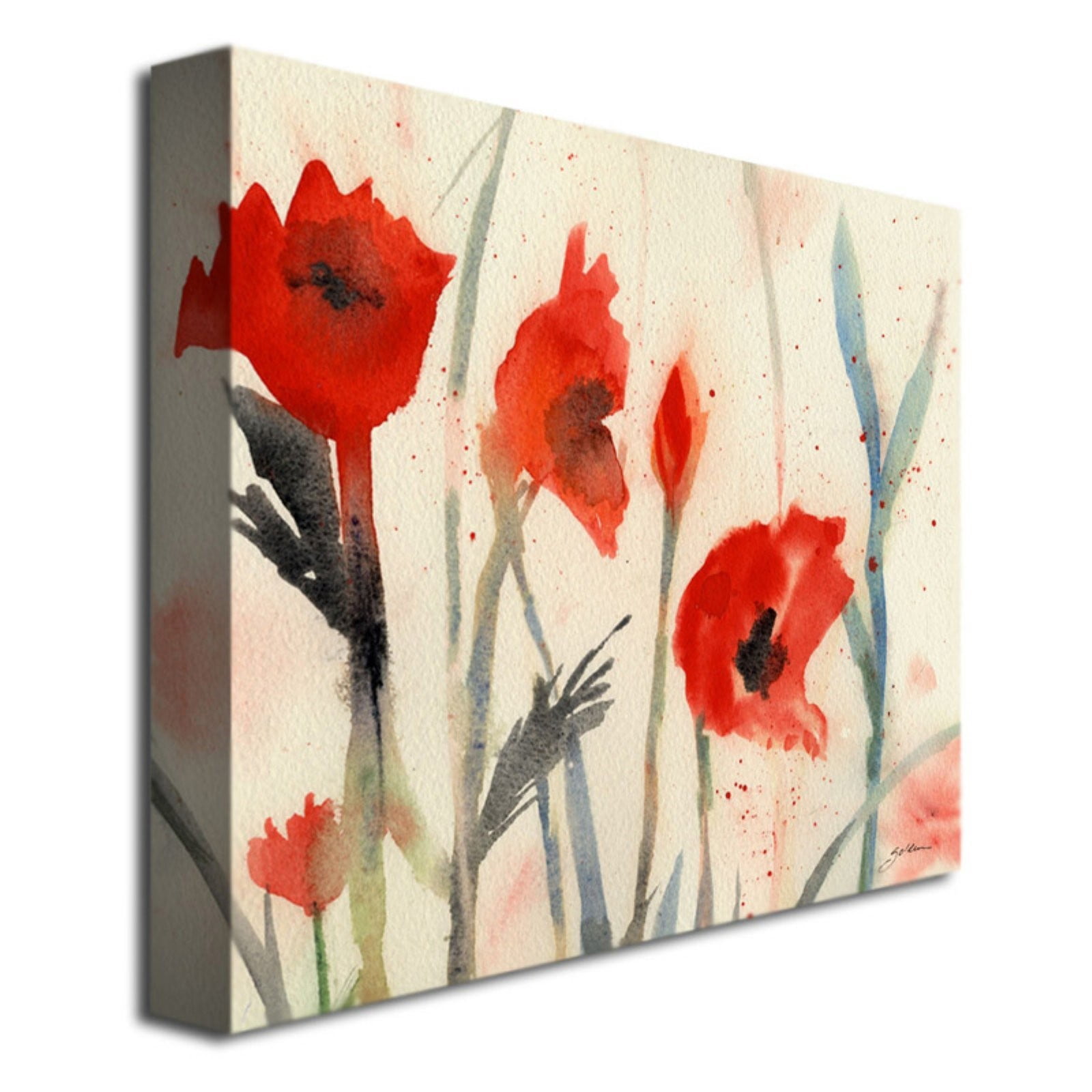 Trademark Art "Poppies" Canvas Art by Sheila Golden