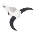 thumbnail image 4 of Longhorn Wall Decor, Animal Skull Decor Beautiful Practical With Horns For Friends Or Relatives For Wall Art, 4 of 8