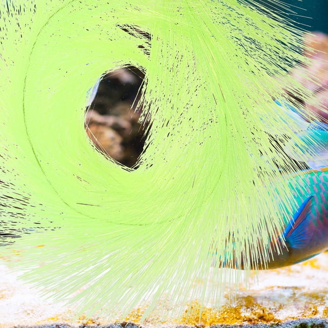 unbranded Para Acuario Con Mopa De Reproducción Para Peces Y Camarones