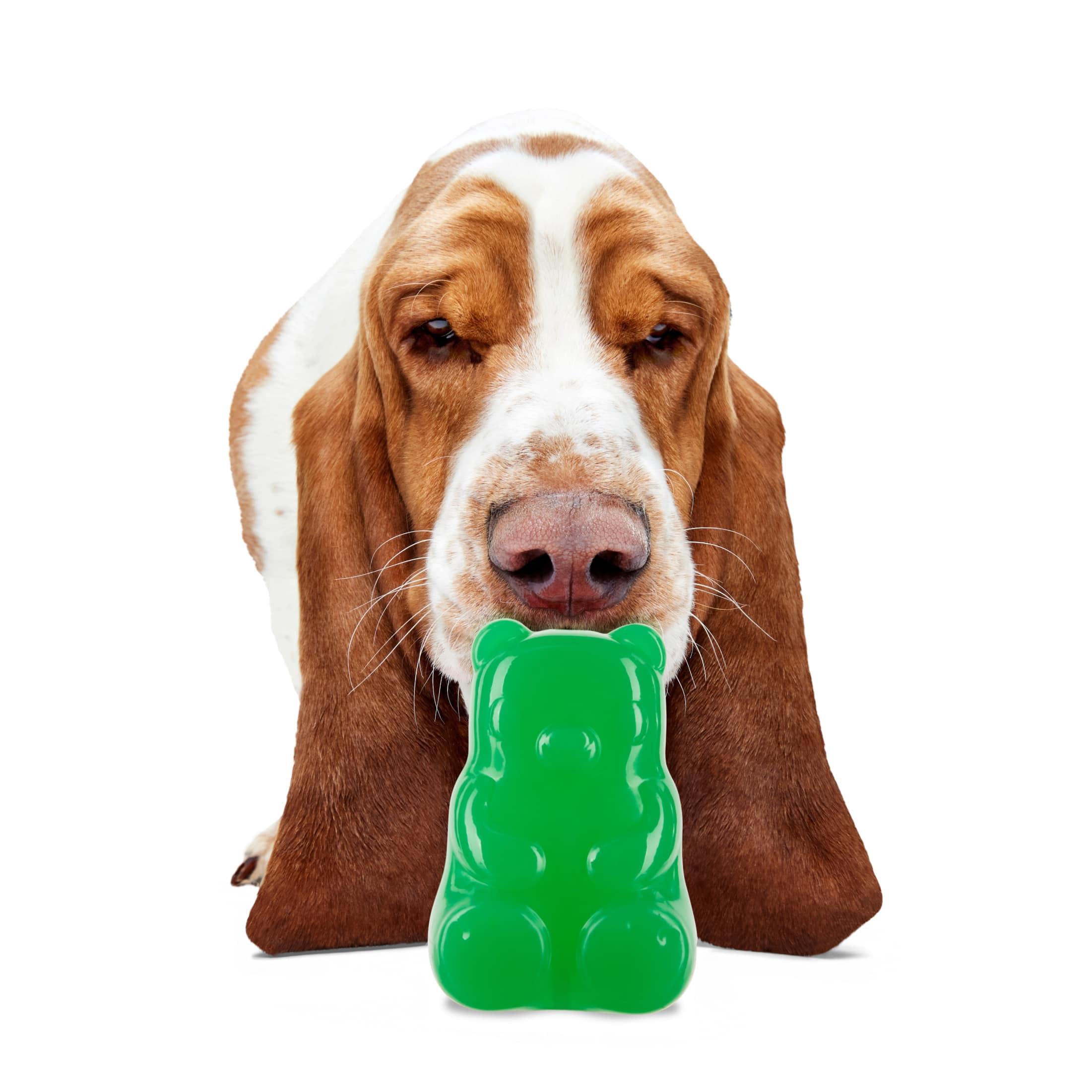 BARK Super Chewer Munchie The Bear Gummy Bear Green Rubber Dog Toy S