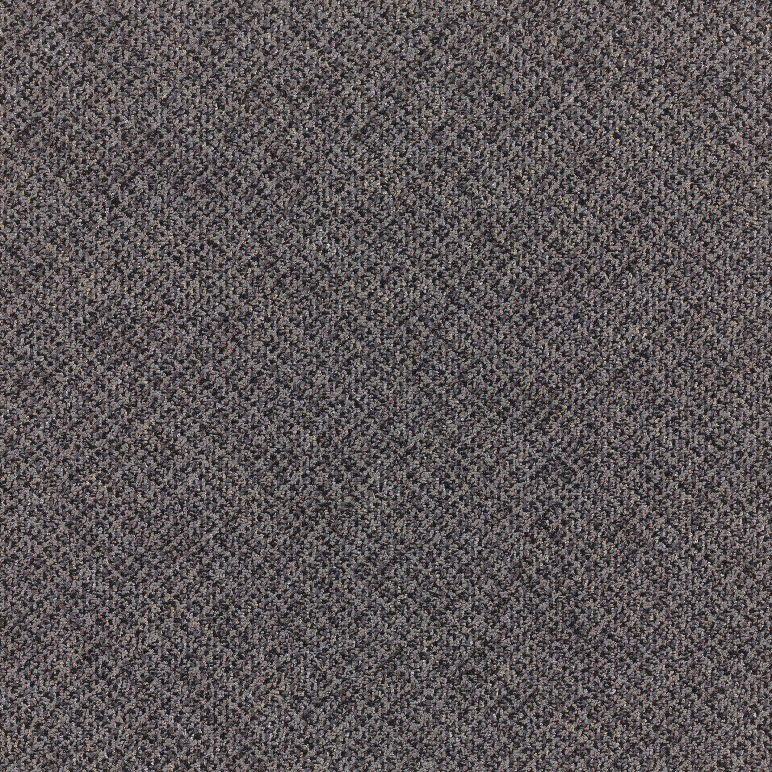 Porth 24" x 24" (72SF/carton) carpet tile in WRITER
