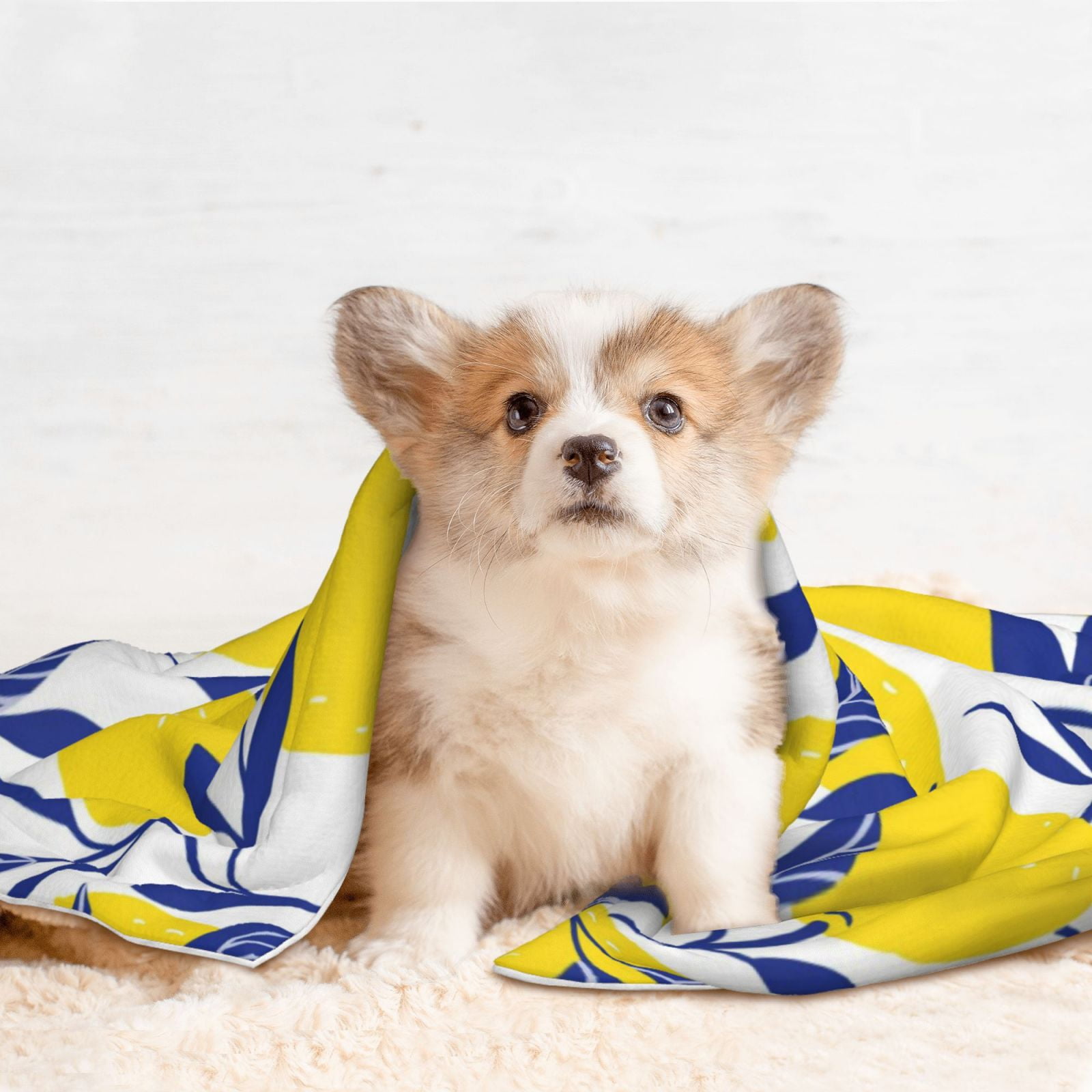 Naloa Tropical Lemon Dog Blanket, 3 Sizes Cat Blanket for Indoor Cats Large Medium Small Dog Gifts-