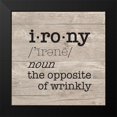 thumbnail image 2 of Reed, Tara 12x12 Black Modern Framed Museum Art Print Titled - Laundry Room Humor I-Irony, 2 of 5
