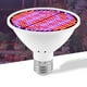 thumbnail image 3 of Bombilla De Cultivo Led Para Plantas De Interior, Espectro Rojo Y Azul, 300 Led, Bombillas Tomshoo  300 LED, 3 of 7