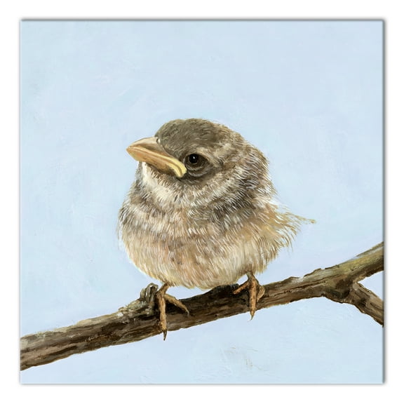 Creative Products Grumpy Bird 24x24 Canvas Wall Art
