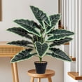 thumbnail image 4 of Artificial Money Tree Potted Plant Large Faux Greenery Fake Plant for Garden Porch Office Home Indoor Outdoor Decor, 4 of 6