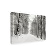 thumbnail image 2 of Trademark Fine Art 'A Snowy Walk III' Canvas Art by James McLoughlin, 2 of 4