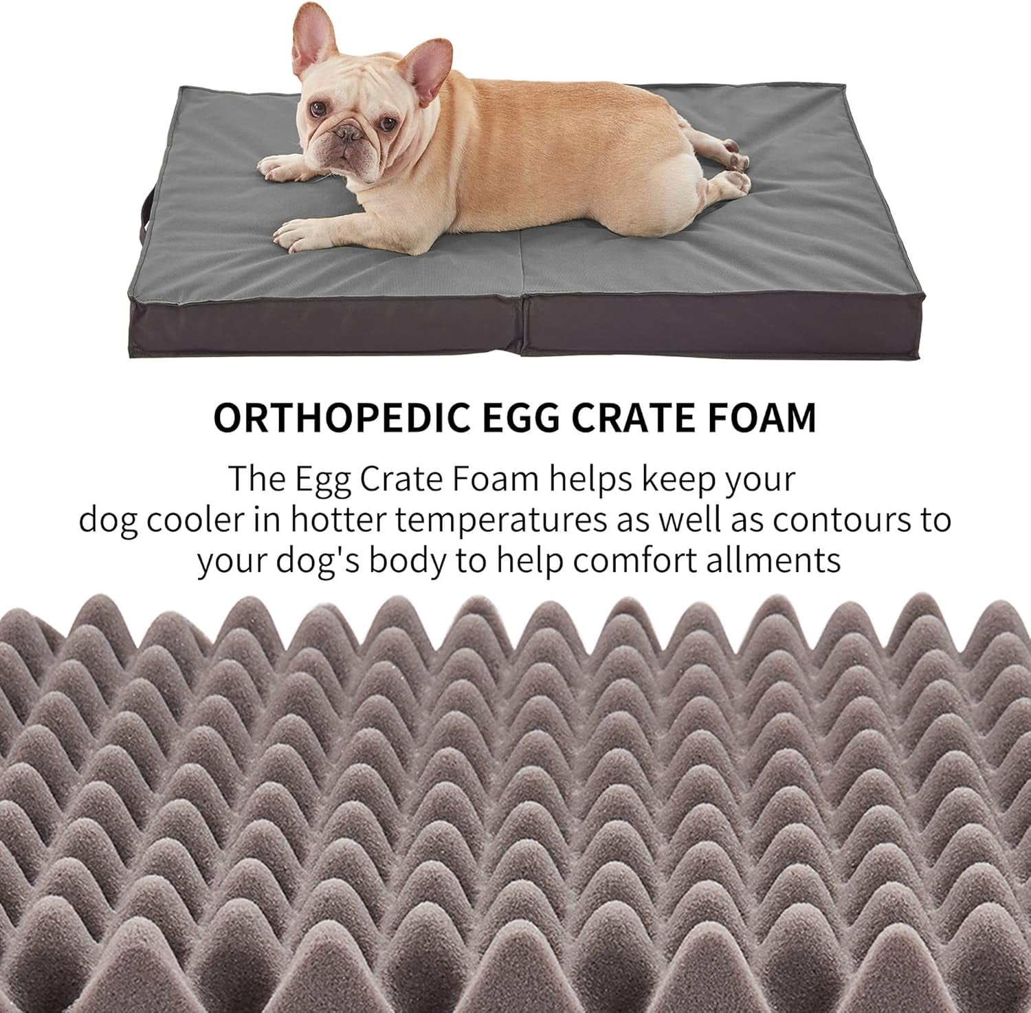 Waterproof Foldable Outdoor Dog Bed for Large Dogs, Orthopedic Portable All-Weather Bed with Washable Cover, 41 Inch for Indoor and Outside Use