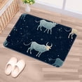 thumbnail image 5 of Constellation Kitchen Rug Outdoor Carpet Door Mat Polyester Non-Slip Machine Washable, 5 of 6