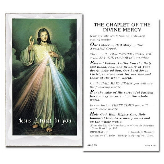Chaplet of the Divine Mercy Catholic Prayer Holy Card with Prayer on Back, Pack of 100