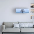 thumbnail image 3 of James McLoughlin 'Tree Panorama VI' Canvas Art, 3 of 3