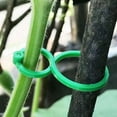 thumbnail image 4 of HomeLife 100Pcs Plant Support Clips Garden Clips Space Saving Tomato Vine Clip Flower Lever Loop Gripper Fixing Clips for Indoor Outdoor Climbing Plants, 4 of 13